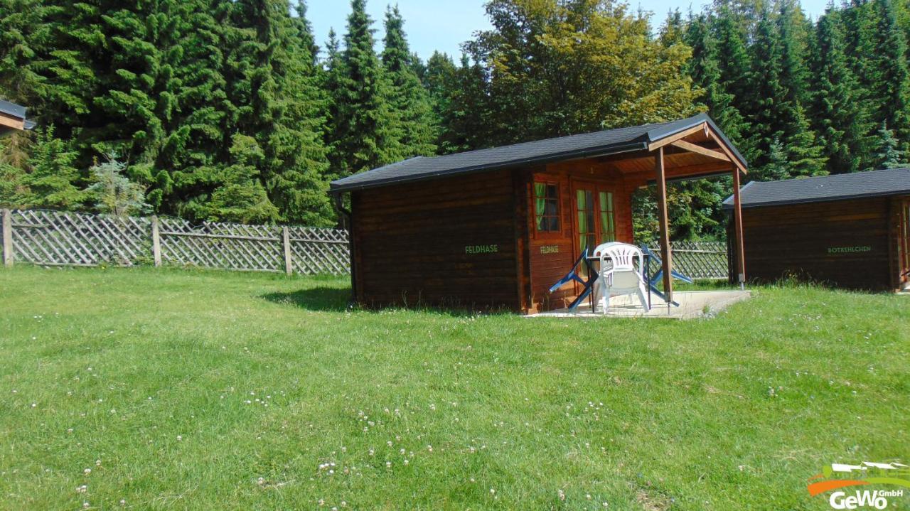 Blockhuette Am Kegelsberg Hotel Gelenau Екстериор снимка